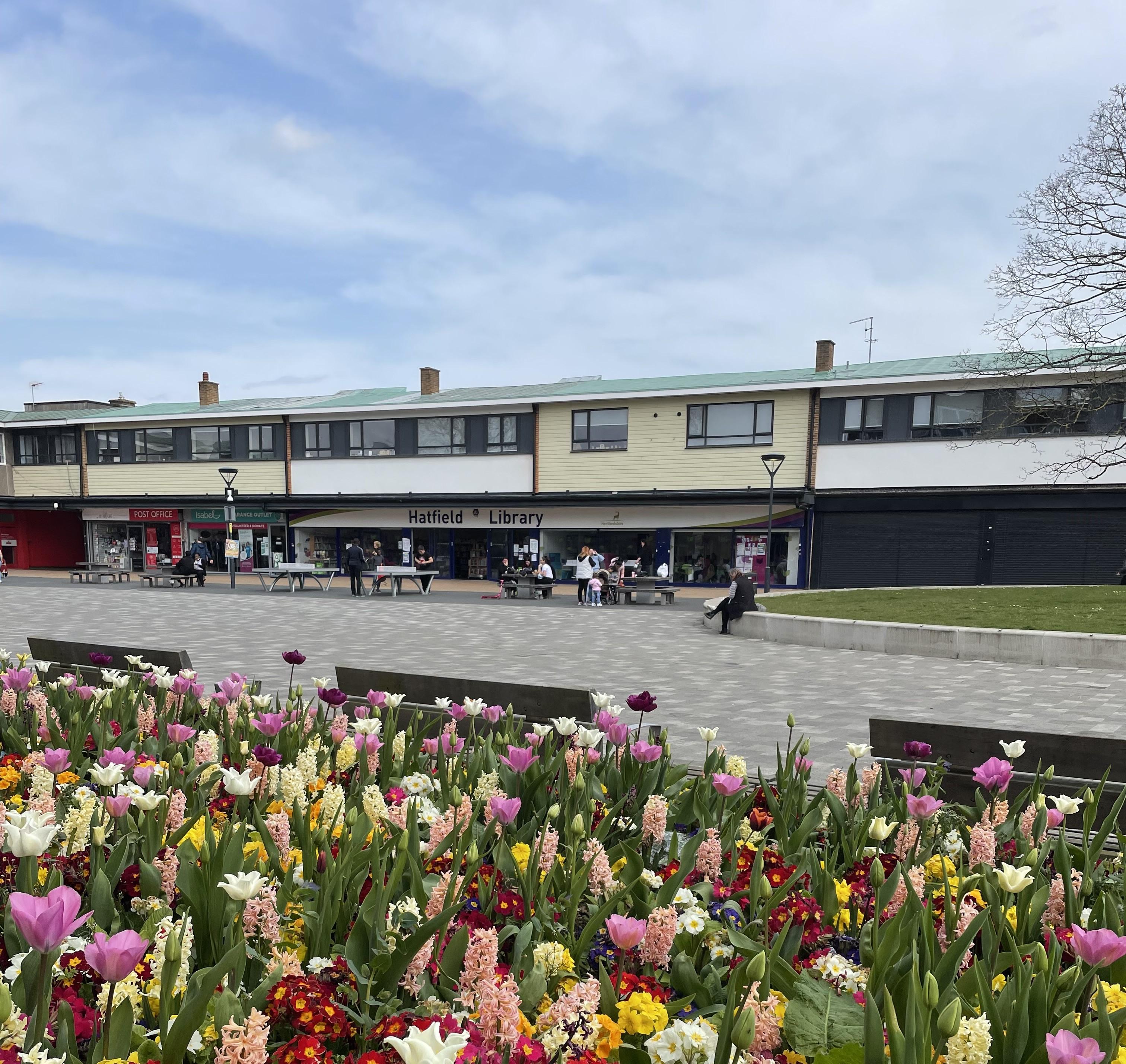 Image of hatfield town centre with the library in the background