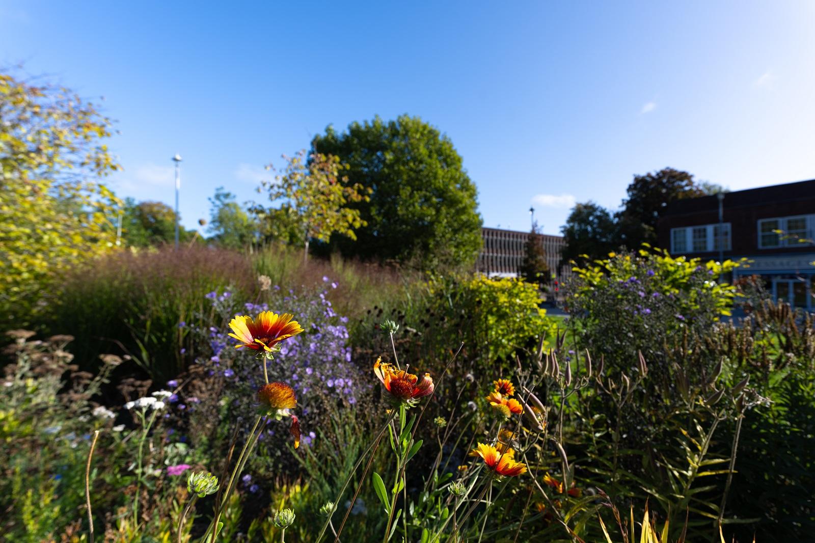 anniversary gardens flowers