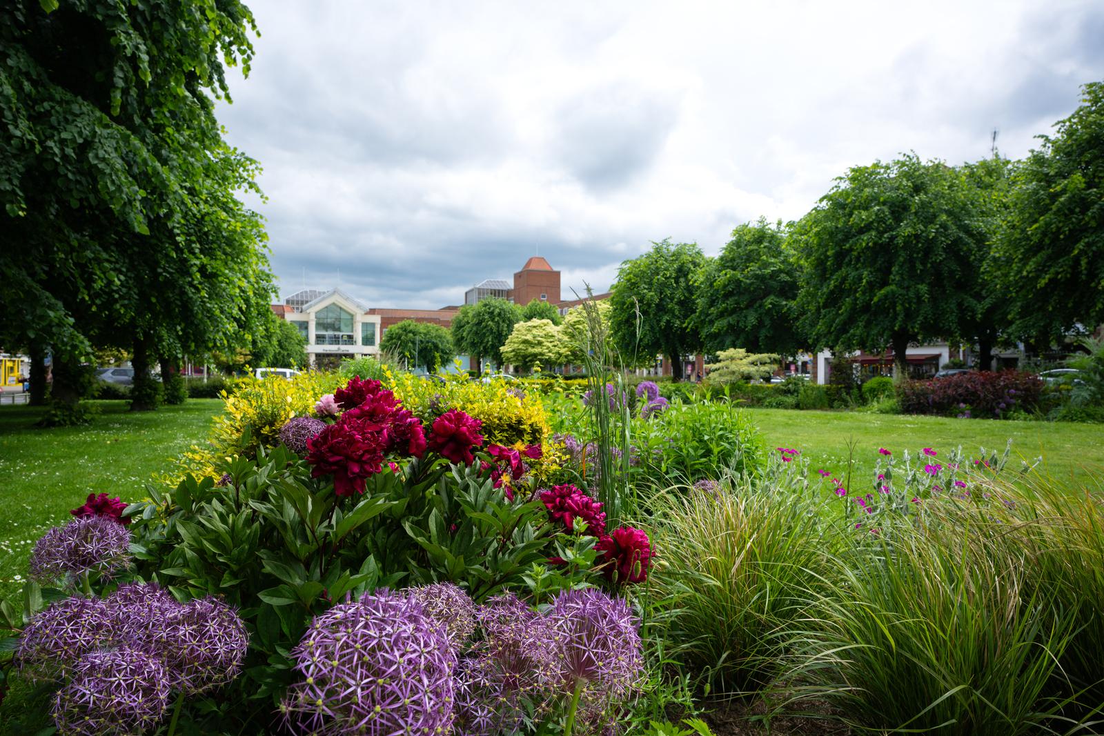 Flowers and trees in WGC
