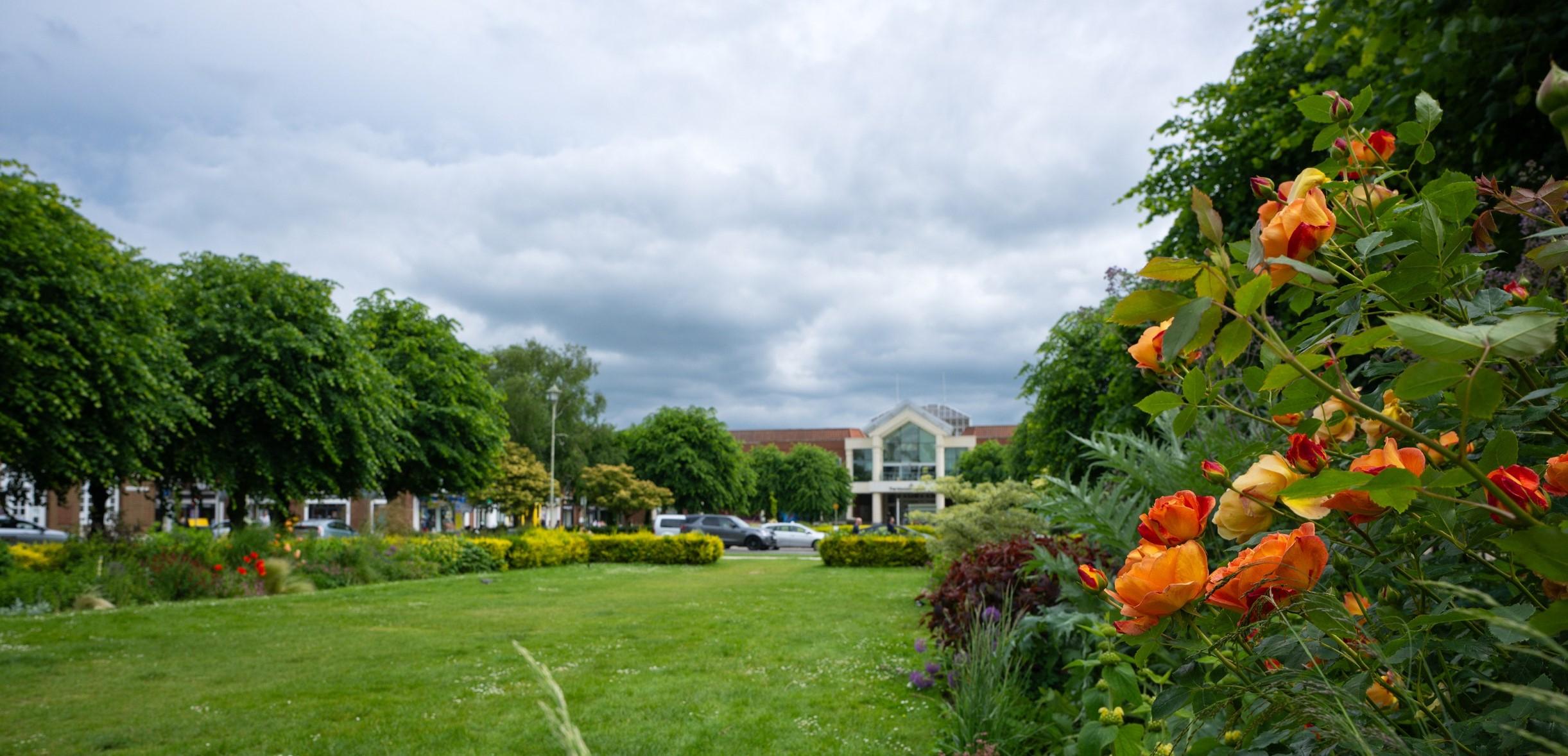 howard centre w flowers in front