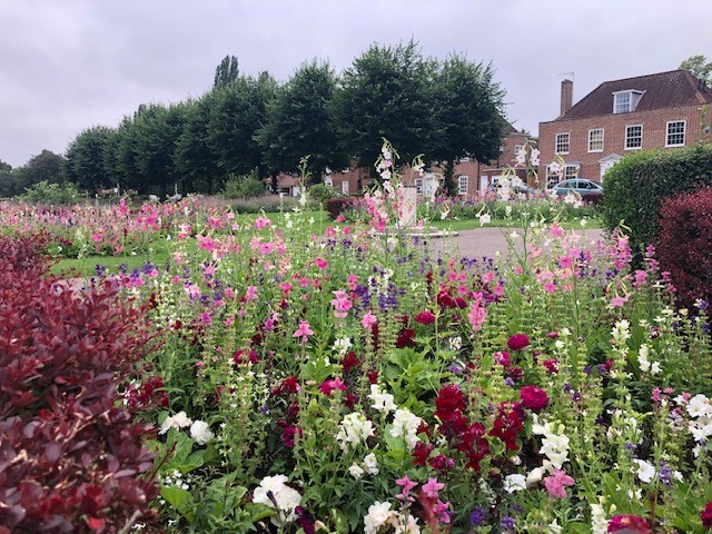 Pink and red flowers with a house in the background